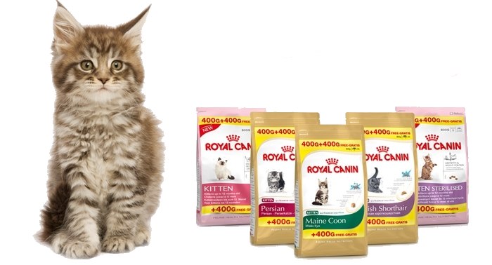 Royal canin maine coon. РК 0,4кг Сенсибл д/Мейн кун.